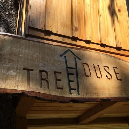 Villa Tree House Alpinka Krvavec Cerklje na Gorenjskem Esterno foto