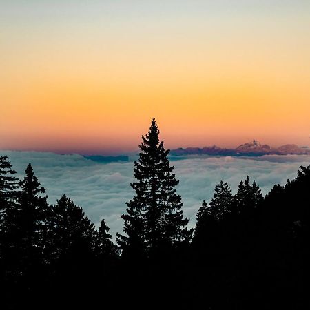 Villa Tree House Alpinka Krvavec Cerklje na Gorenjskem Esterno foto