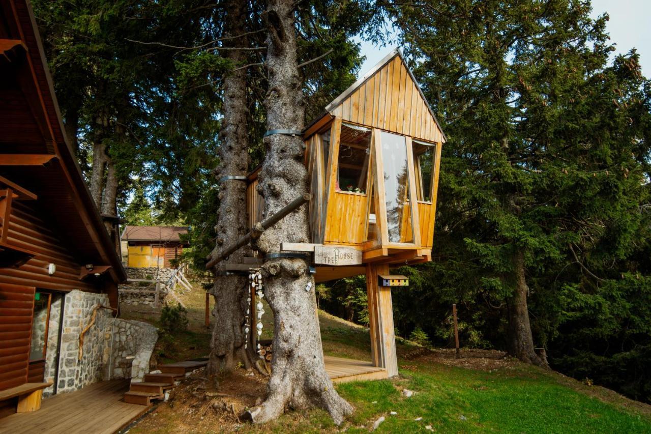 Villa Tree House Alpinka Krvavec Cerklje na Gorenjskem Esterno foto