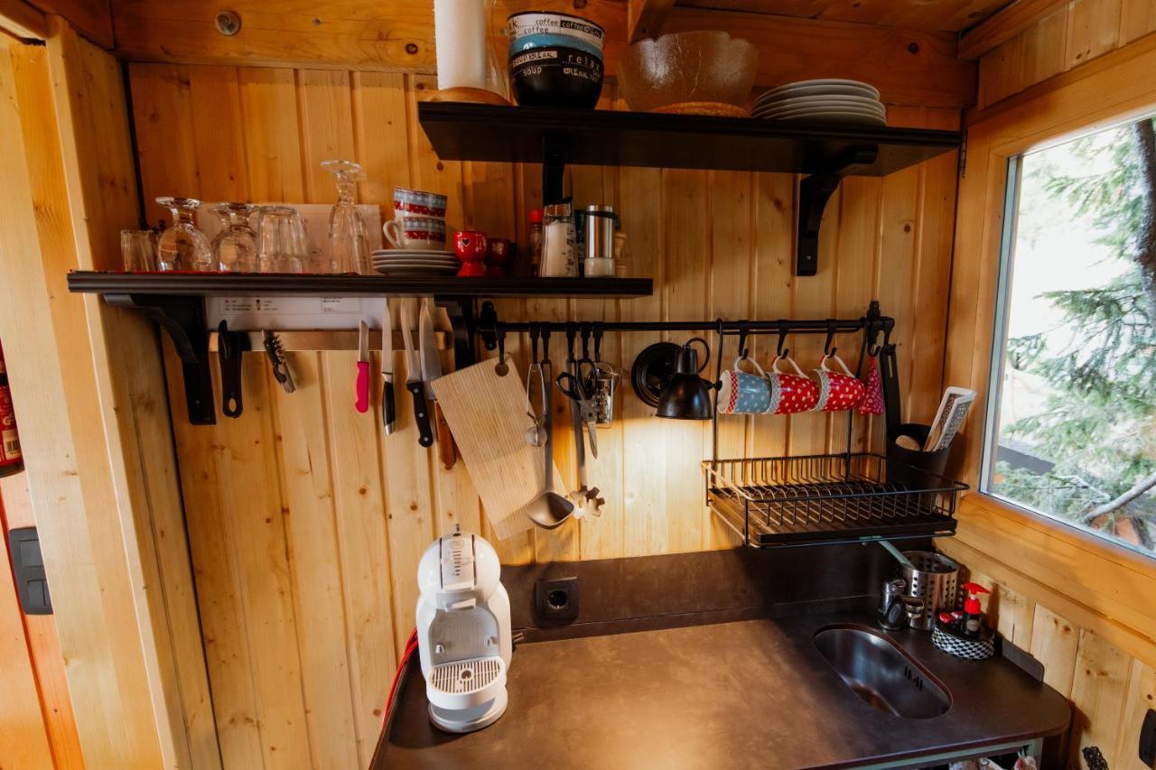 Villa Tree House Alpinka Krvavec Cerklje na Gorenjskem Esterno foto