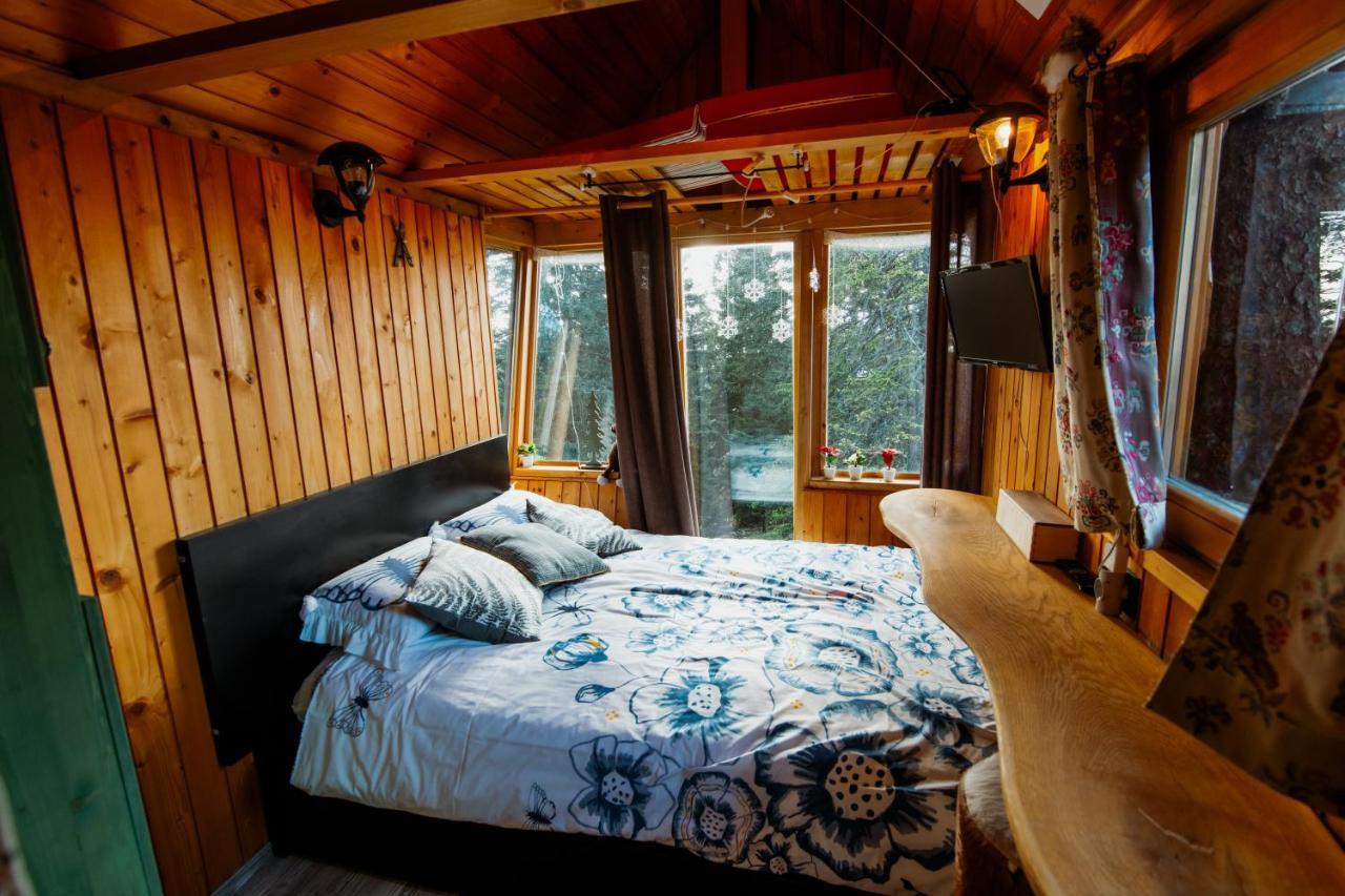 Villa Tree House Alpinka Krvavec Cerklje na Gorenjskem Esterno foto