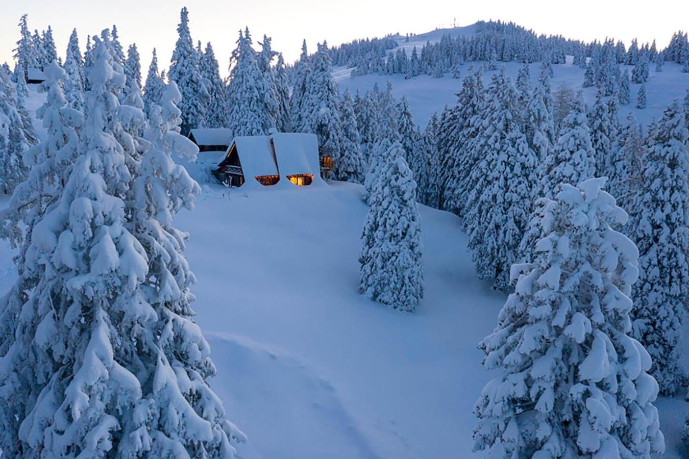 Villa Tree House Alpinka Krvavec Cerklje na Gorenjskem Esterno foto